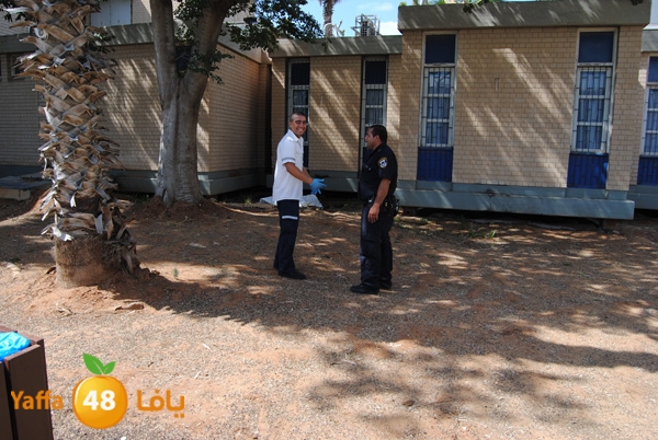 jotha dead yaffa 701 (10).JPG